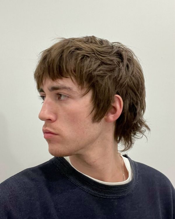 Long, Shaggy Mod